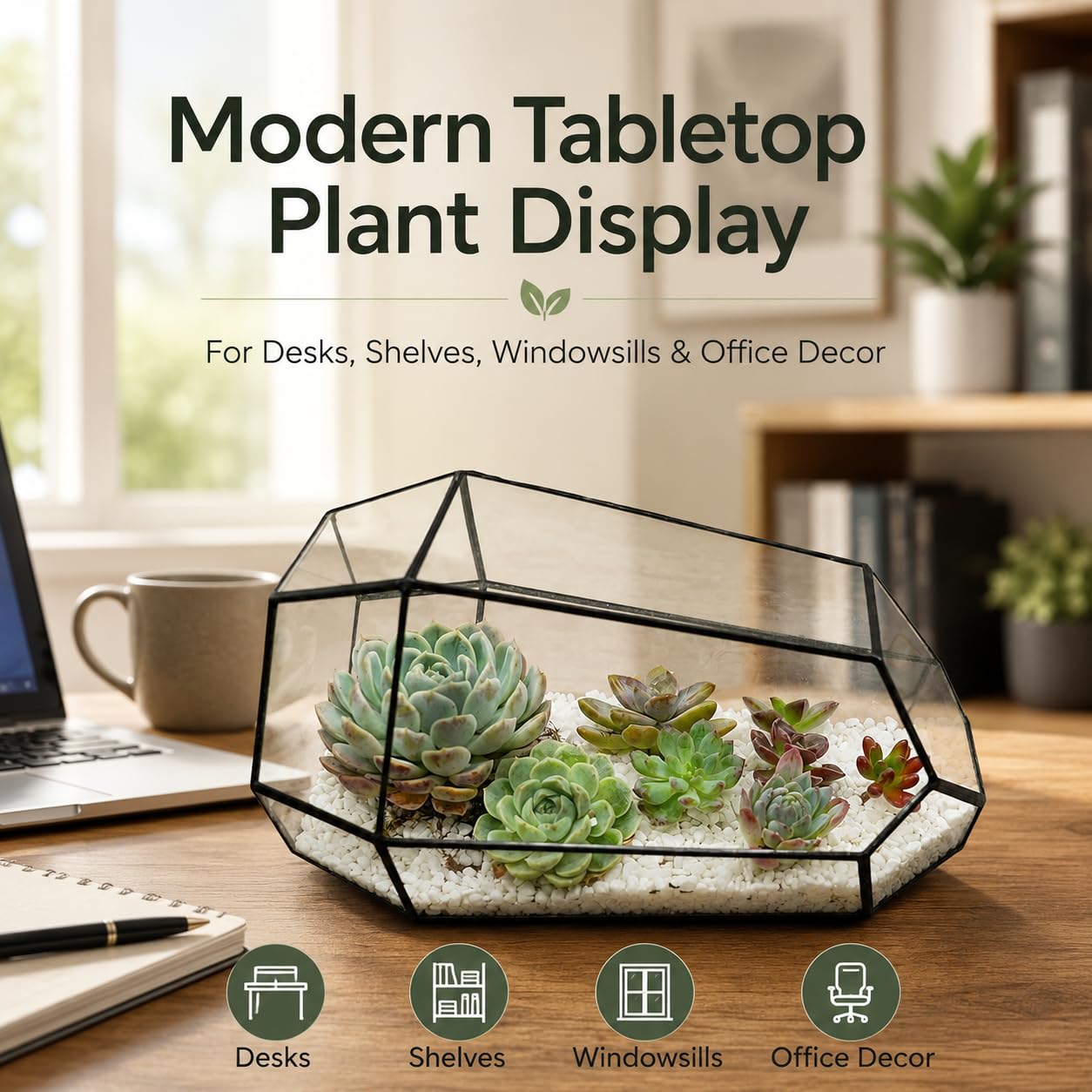 Amazon.co.jp: 幾何学的植物 テラリウム ガラス イレギュラー